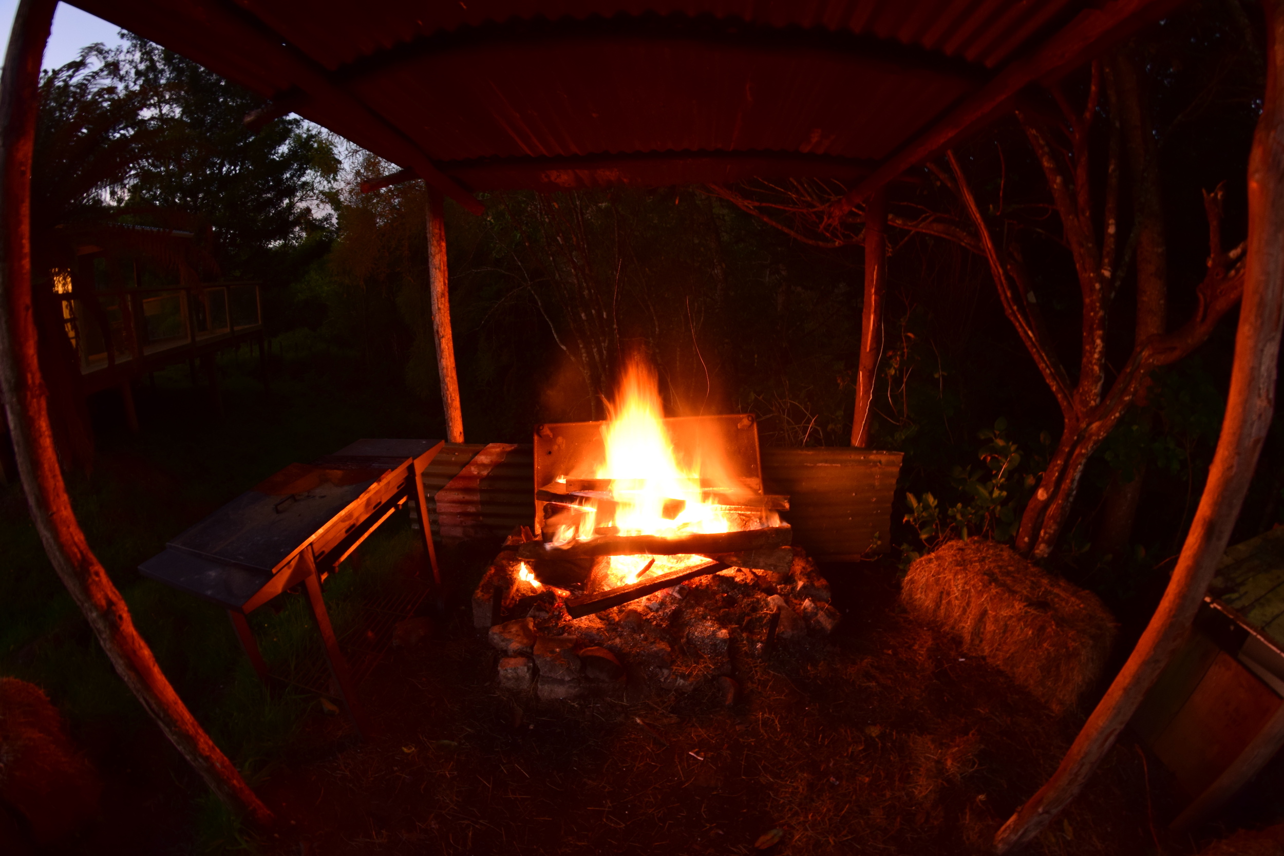 bbq-fire-pit-2