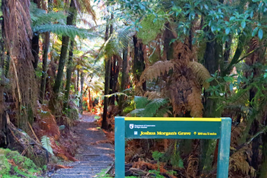 hiking-tangarakau