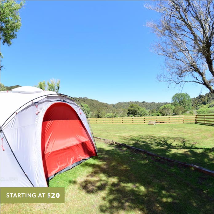 Campsite Tent Bushlands Campground Tanagaraku